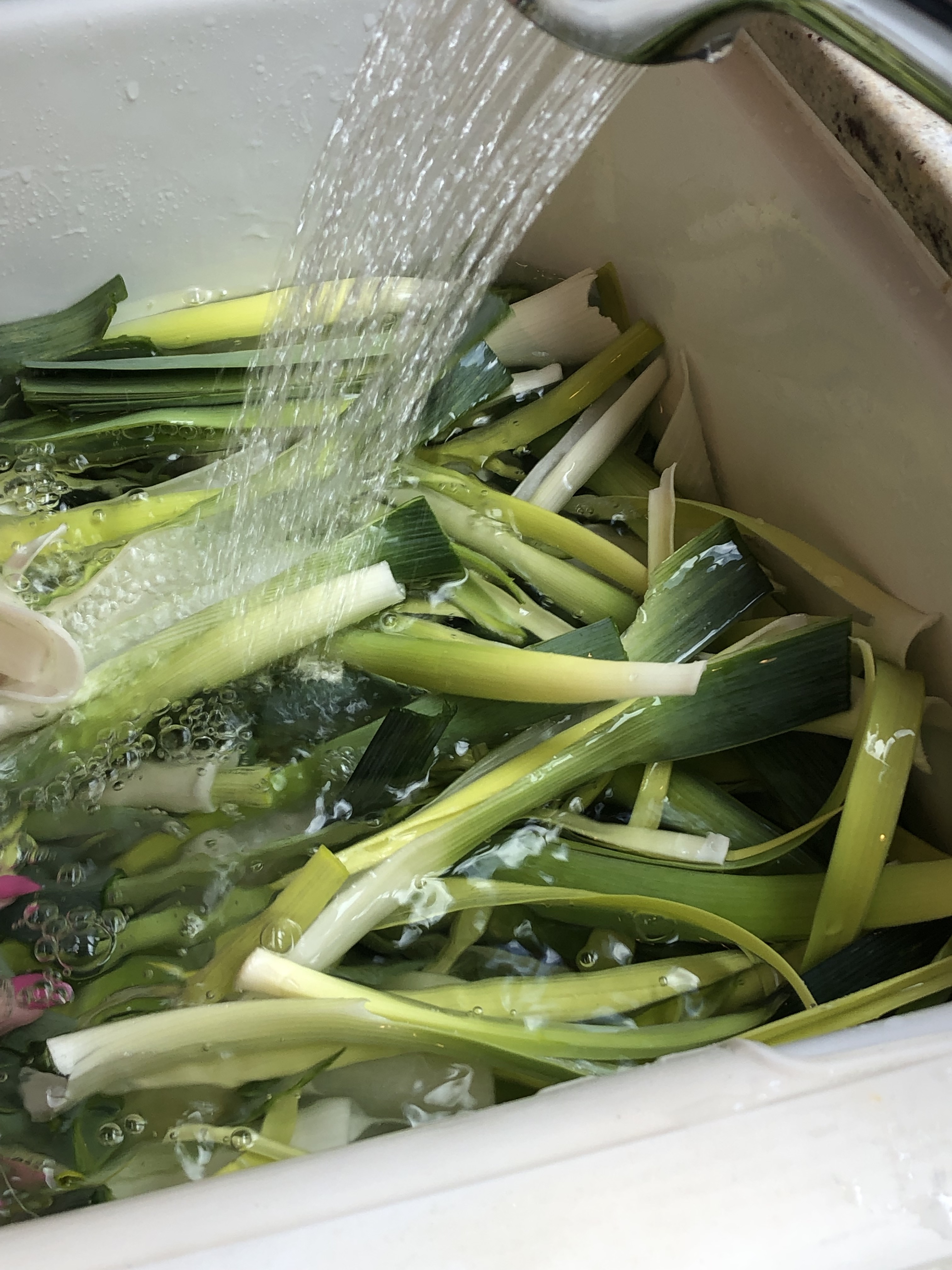 3VPGdlxSTB+LiETkGbUcFw